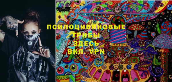 mix Пересвет