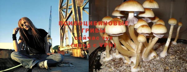 MDMA Пестово